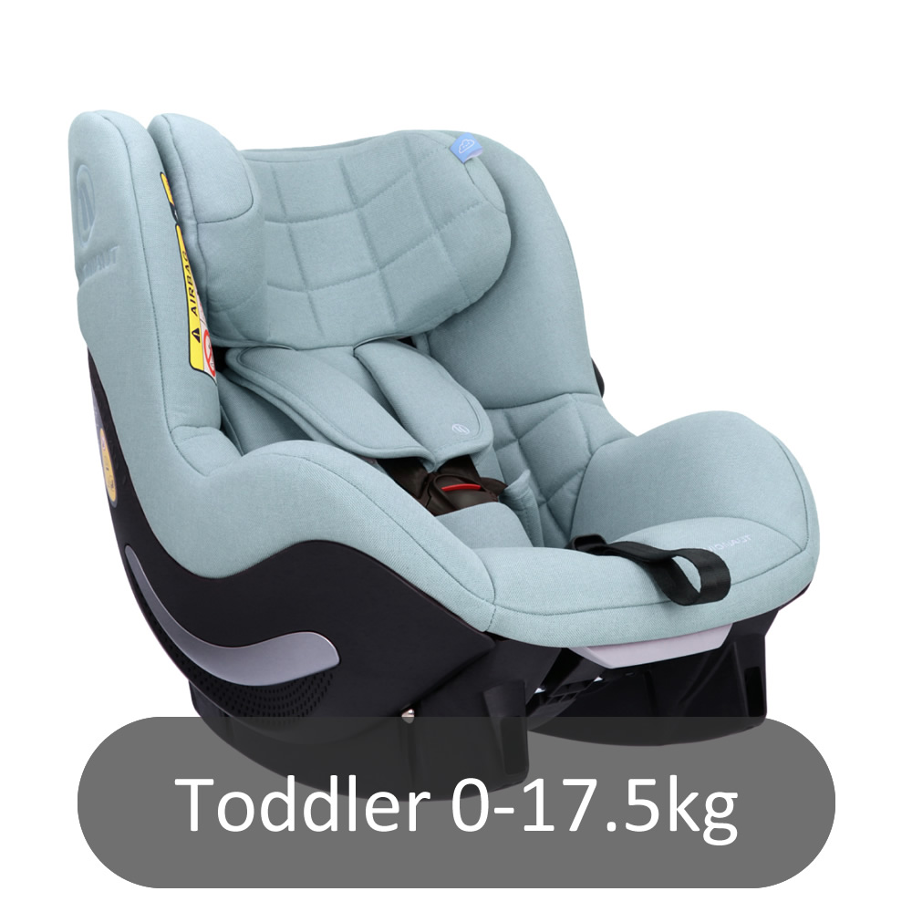 Toddler Car Seats