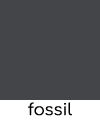Fossil